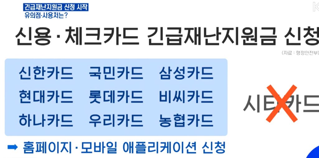 2025 재난지원금 사용처