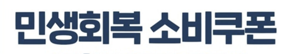 민생회복 소비쿠폰 카드 재발급