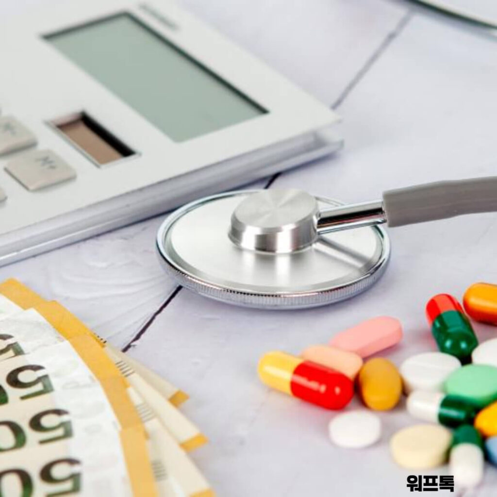 의료비환급 지급일