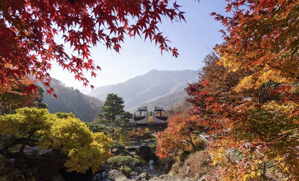 곤지암 화담숲 단풍 예약방법