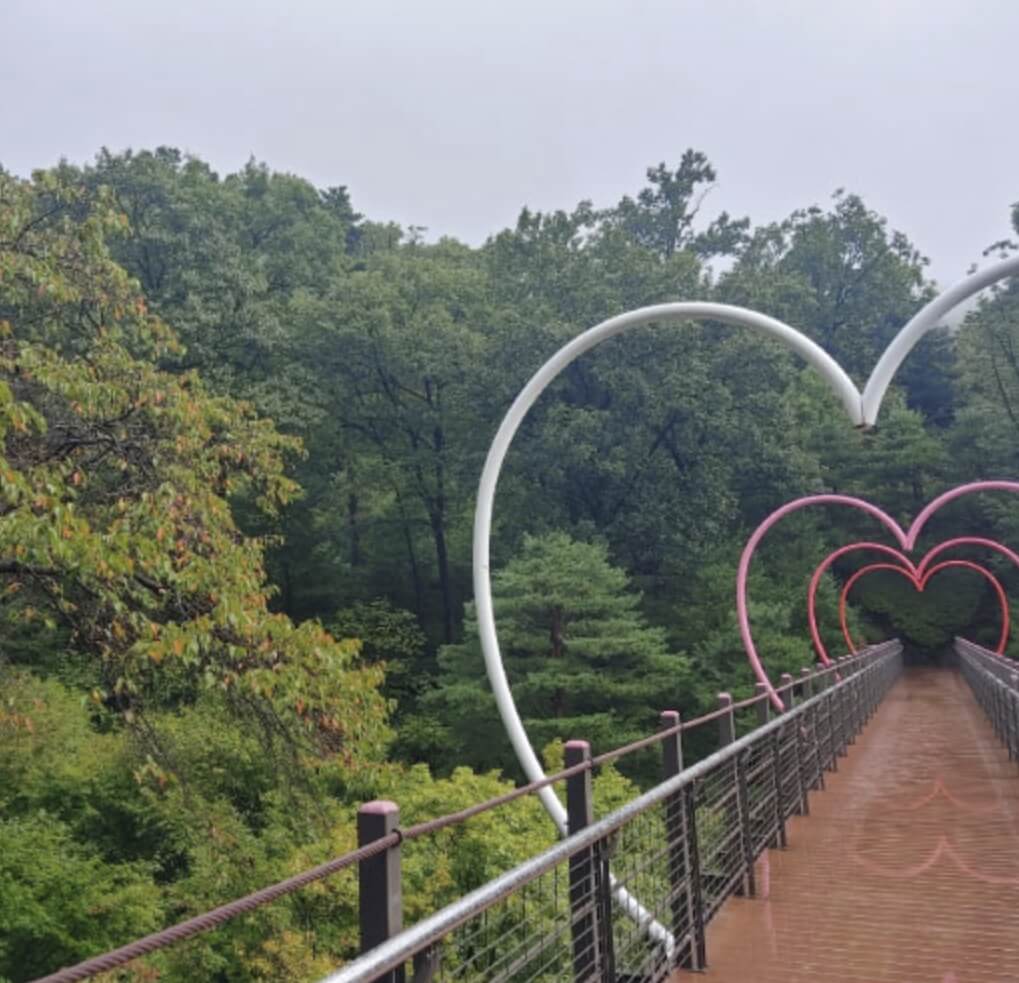 곤지암 화담숲 단풍 예약방법