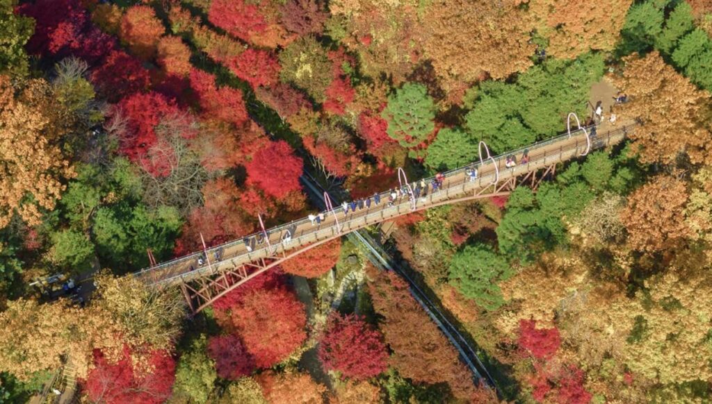 곤지암 화담숲 단풍 예약방법