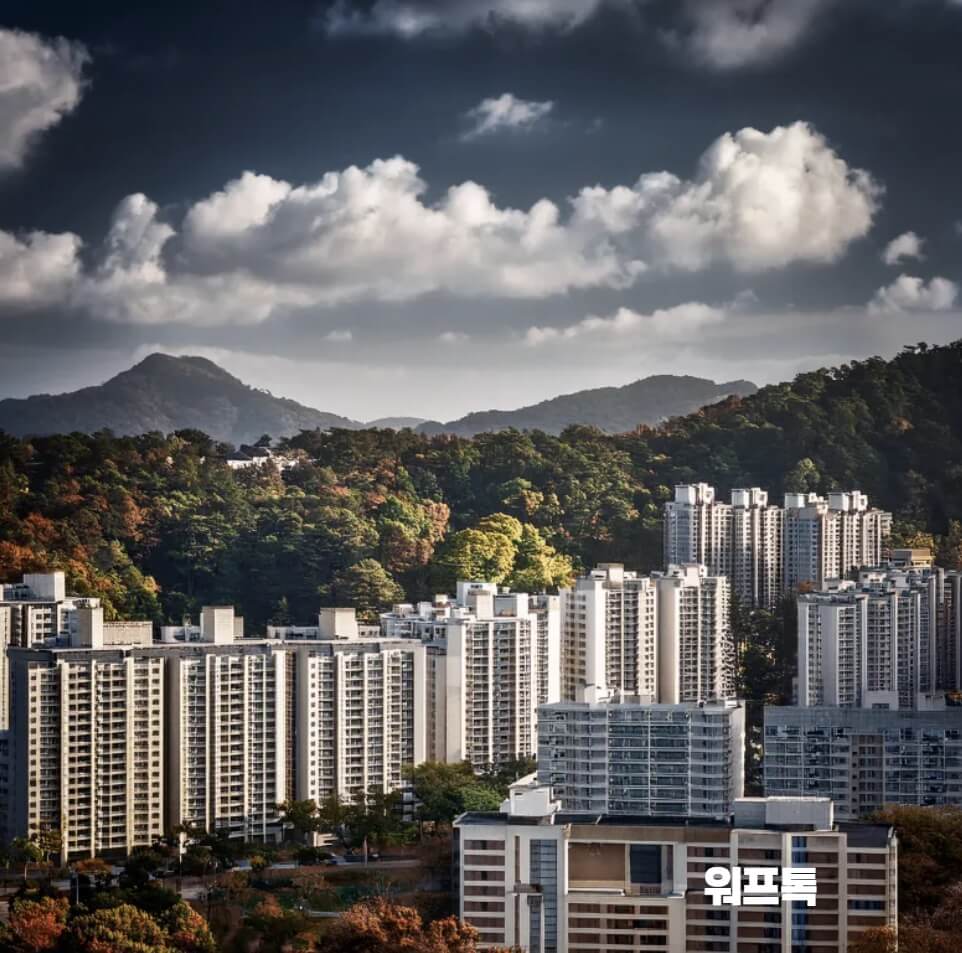 부동산 규제지역 수혜지역