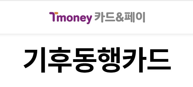 K패스 vs 기후동행카드 vs 경기패스