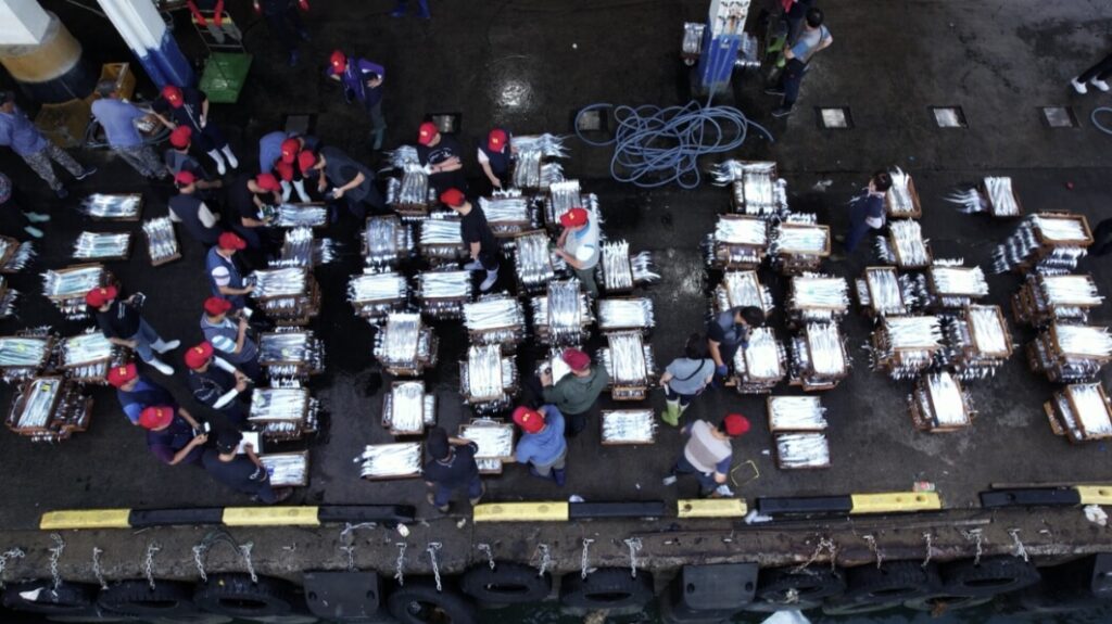 제주 은갈치 회센터