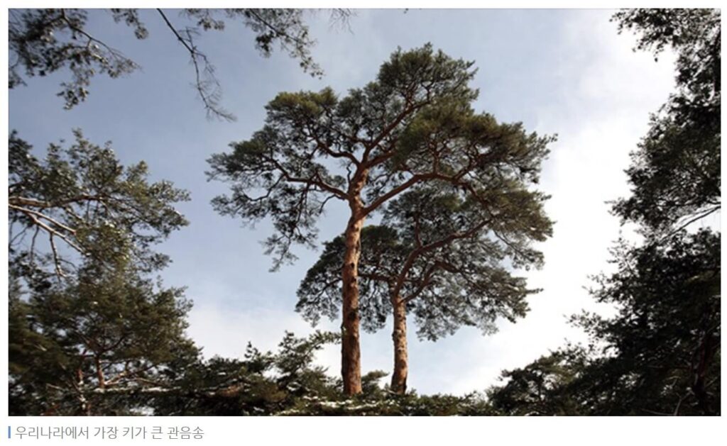 영월 단종 유배지