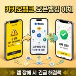 카카오뱅크 오픈뱅킹 이체